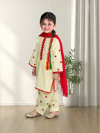Hand Embroidered 3 Piece Lawn Suit