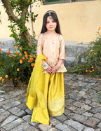 Premium Silk 3-piece embroidered outfit