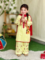 Hand Embroidered 3 Piece Lawn Suit
