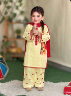 Hand Embroidered 3 Piece Lawn Suit