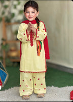 Hand Embroidered 3 Piece Lawn Suit