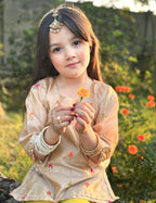 Premium Silk 3-piece embroidered outfit