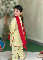 Hand Embroidered 3 Piece Lawn Suit