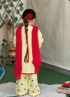 Hand Embroidered 3 Piece Lawn Suit