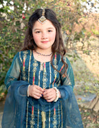 Farshi Shalwar Set- Embroidered Festive Wear