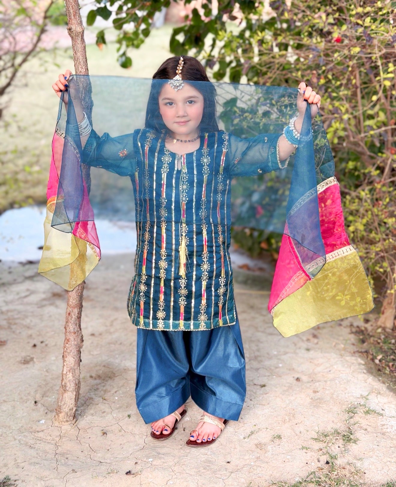 Farshi Shalwar Set- Embroidered Festive Wear